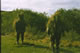 2RGJ Bulford Oct 2005 Sniper Plt Cadre 12 Jpg