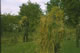 RGJ Bulford Oct 2005 Sniper Plt Cadre 26 Jpg