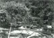 Borneo Patrols 2 1966