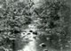 Borneo Patrols 3 1966