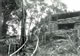 Camp In Borneo (2) 1966