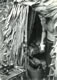 Camp In Borneo (4) 1966