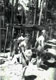 Campsite Borneo (2) 1966