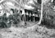 Iban Village (3) Borneo 1966