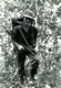 On Patrol (1) Borneo 1966