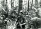 On Patrol (11) Borneo 1966