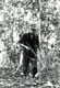 On Patrol (2) Borneo 1966