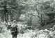 On Patrol (8) Borneo 1966