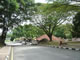 Penang 06 Jpg