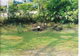 Bisley Vb 05 Jpg