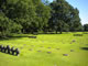 German Cemetery 1