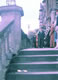 Winchester Freedom 20000001 Jpg
