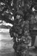 Bramall Trophey 1RGJ Cyprus 1993,94 (9) Jpg