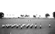 Penang 1962 Photo6