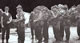 Junglebashing 1962 Photo14