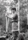 Various 1962 Photo5