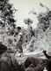 Various 1962 Photo6