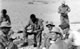 (29) M Worrell,J Shelley,A Williams,J Craney