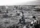 081. On Manoeuvres, Derna Area 1956, 57