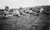 21. AWB Nor Here, Skiving Likely. C.1925-30